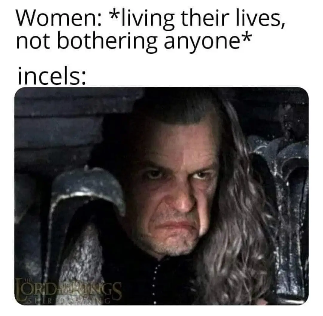 This meme is a humorous commentary on the stereotype that women are more empathetic and concerned about others' feelings, while men are more self-focused. The image shows a character from the Lord of the Rings, Boromir, who is known for his intense and brooding personality. The text "Women: *living their lives, not bothering anyone* / Incels: " says that women are living their lives without causing trouble, while "incels" (short for "involuntary celibates," a term referring to people who struggle with dating and relationships) are a group of men who are often self-focused and self-obsessed, as exemplified by the image of Boromir.