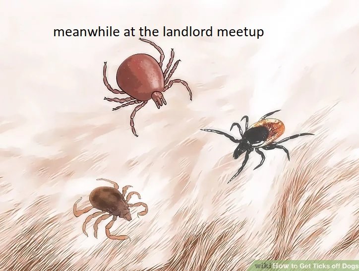 The meme features an image of three ticks, which are small, parasitic insects that feed on the blood of animals. The text at the top of the image reads "meanwhile at the landlord meetup", implying that the ticks are attending a meeting with their landlord, which is a humorous and unexpected scenario.