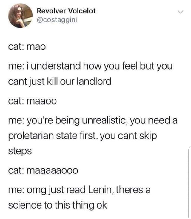 This meme is a humorous exchange between a cat and a human, where the cat is trying to explain the concept of communism to the human. The cat says "cat: mao" which is a reference to the Chinese leader Mao Zedong, and the human responds with a joke about the cat's lack of understanding of the concept of communism. The human then says "cat: maaa" which is a cat's meow sound, and the cat responds with a joke about the human's lack of understanding of the cat's language.
