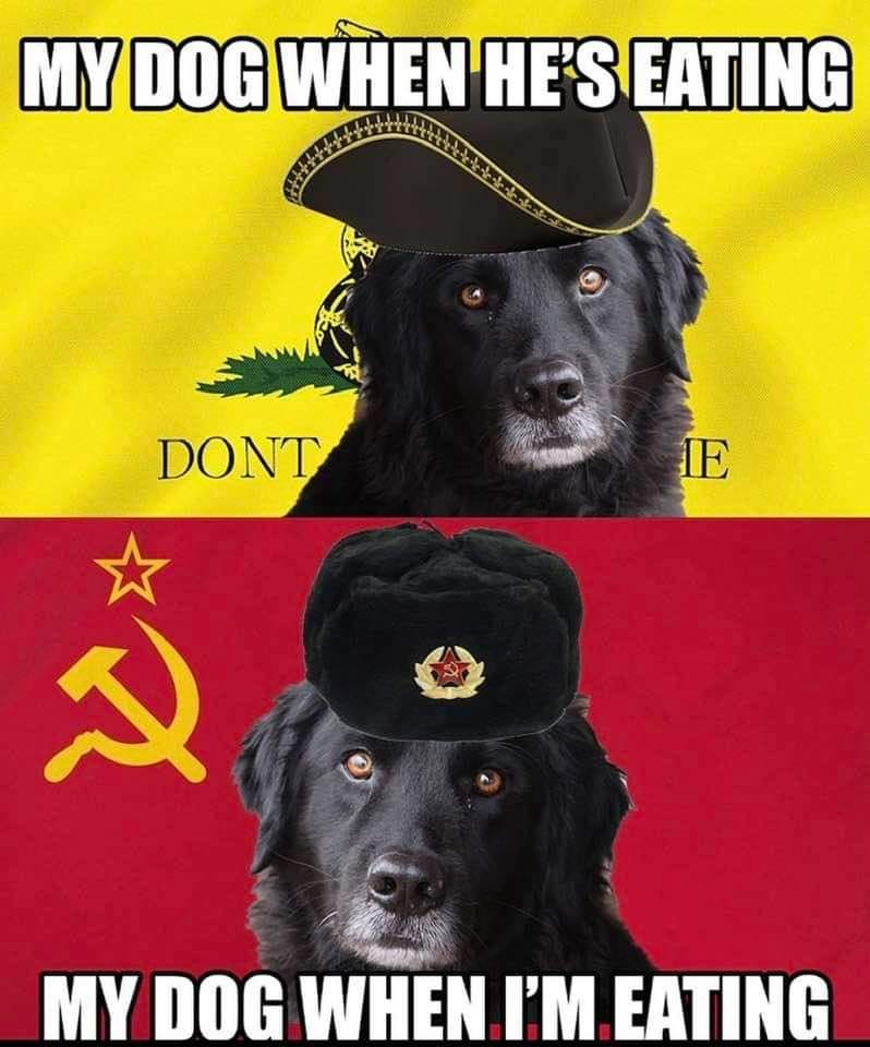 The meme is a humorous comparison between a dog's behavior when its owner is eating and when the dog is eating itself. The top image shows a dog wearing a Revolutionary War-era hat, with the caption "My dog when he's eating." The bottom image shows the same dog wearing a Soviet-era hat, with the caption "My dog when I'm eating." The meme pokes fun at the idea that a dog's behavior changes when it's eating its owner's food, and the use of historical and cultural references adds to the humor.
