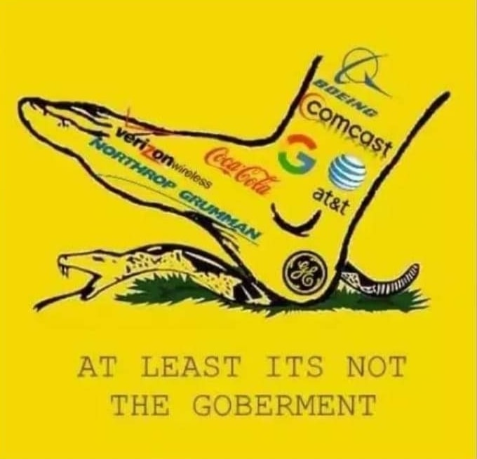 This meme is a satirical image featuring a yellow flag with a cartoon alligator's head and a list of companies, including major corporations like Google, Amazon, and Facebook. The text at the top of the flag reads "In God We Trust" but is replaced with "In Corporations We Trust", and at the bottom, it says "At Least It's Not the Government". The image is a humorous commentary on the influence of large corporations in society.