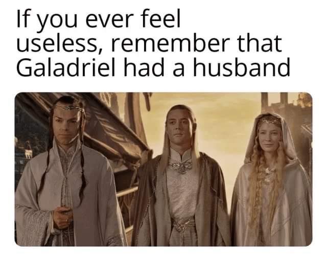 This meme is a play on the idea that "If you ever feel useless, remember that Galadriel had a husband." The image is a screenshot from the 2012 film "The Hobbit: An Unexpected Journey" showing the character Galadriel (played by Cate Blanchett) with her husband, but the image is cropped to only show Galadriel, with the text "If you ever feel useless, remember that Galadriel had a husband" appearing above it. The implication is that Galadriel's marriage is somehow a reminder that even someone as powerful and important as a fantasy character can have a personal life, and that even they can be married.