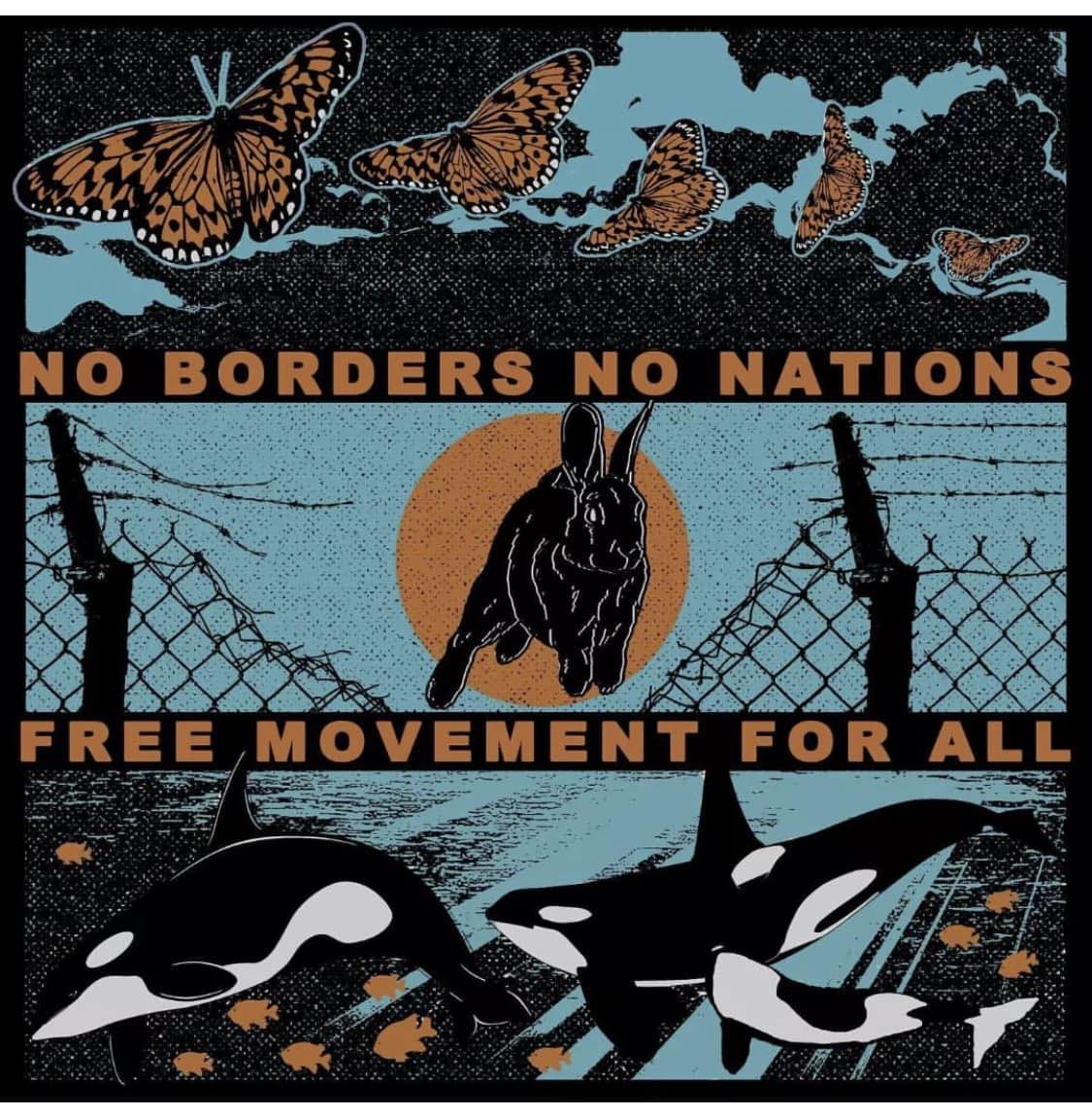 This meme is an image of a border fence with a group of migrants (including a rabbit) trying to cross into the United States. The text "No borders, no nations, free movement for all" is written across the top of the image, while "No borders, no nations" is written across the bottom. The image is meant to be humorous and ironic, as it is often used to express a desire for open borders and to criticize the idea of nation-states.