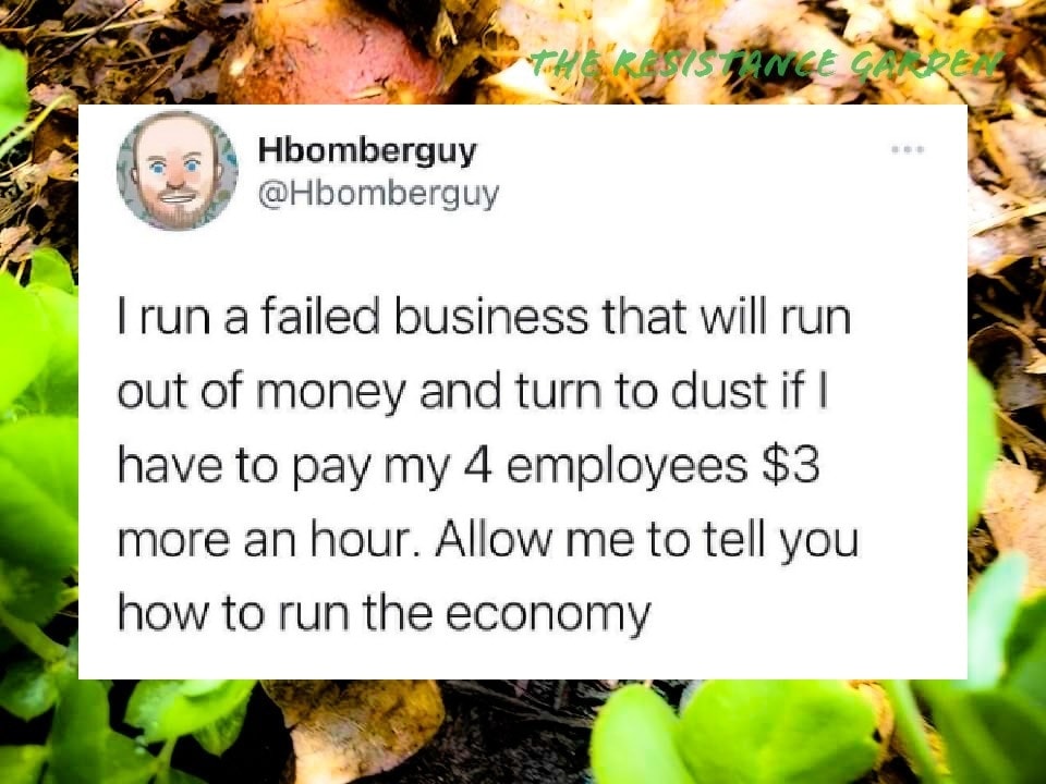 This meme is a humorous commentary on the struggles of running a business. The text reads: "I run a failed business that will run out of money and turn to dust if I have to pay my 4 employees $3 more an hour. Allow me to tell you how to run the economy." The image is likely a photo of a person or a business owner with a humorous expression, but the text is the key to the joke. The meme is poking fun at the idea that a business owner is so desperate to keep his employees that he's willing to pay them a higher wage, but then he's suddenly able to tell the government how to run the economy.