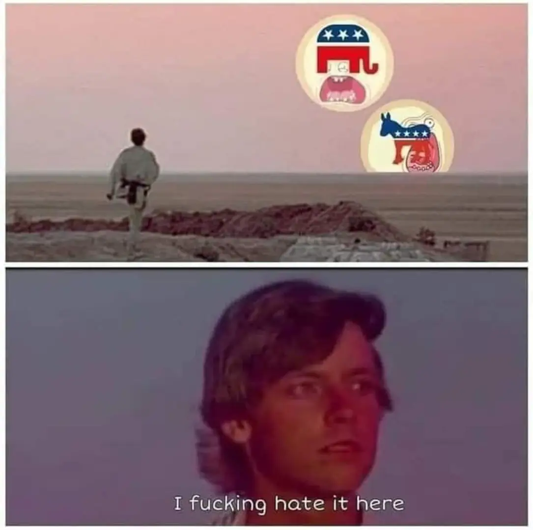 This meme is a play on the iconic "I am the one who knows" scene from the Star Wars movie "The Empire Strikes Back." In this image, a character is standing on a desert planet, looking out at a distant horizon. The text "I am the one who knows" is replaced with "I am the one who hates the 2020 US presidential election's political parties."  In the image, a character is standing on a desert planet, looking out at a distant horizon. The text "I am the one who knows" is replaced with "I am the one who hates the 2020 US presidential election's political parties."