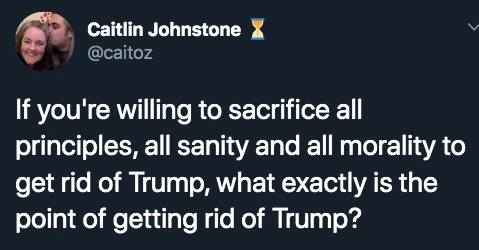 The meme is a screenshot of a tweet from a user named "Caitlin" with the handle "Caitlin" and the text: "If you're willing to sacrifice all principles, all sanity and all morality to get rid of Trump, what exactly is the point of getting rid of him?" The tweet appears to be a commentary on the controversy surrounding President Trump's presidency and the debate over his removal from office.