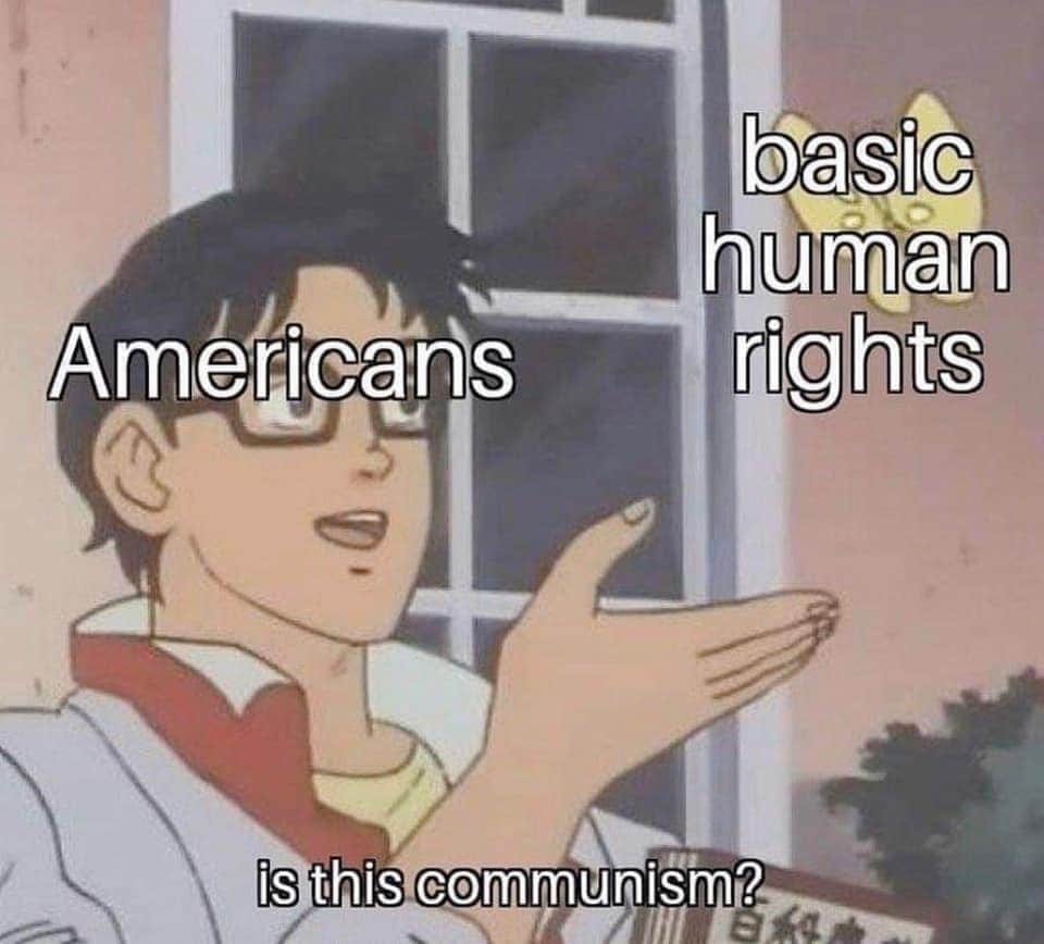 This meme is a humorous take on the idea that many Americans are unaware of the basics of human rights, particularly in comparison to other countries. The image features a character from the anime "Lupin III" with a puzzled expression, captioned with the question "Americans, is this communism?" and a pointing hand, implying that the concept of basic human rights is somehow unfamiliar to many Americans.