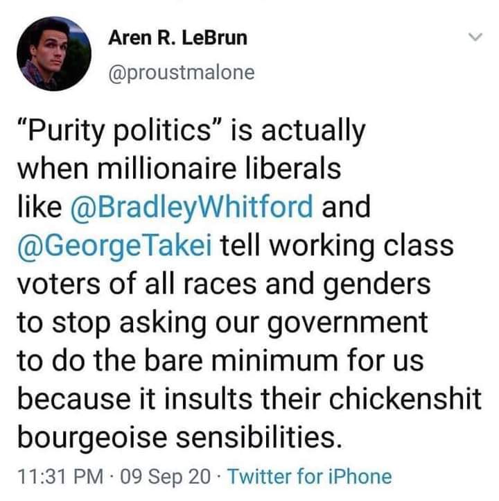 This meme is a screenshot of a tweet from a user named @proustmalone. The text reads: "Purity politics" is actually when millionaire liberals like @BradleyWhitford and @GeorgeTakei tell working class voters of all races and genders to stop asking our government to do the bare minimum for us because it insults their "chickenshit" "bourgeois" sensibilities.