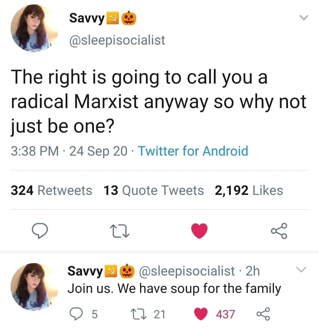 The meme is a screenshot of a Twitter post from an account called @sleepisocialist. The post reads: "The right is going to call you a radical Marxist anyway so why not just be one?" The post is accompanied by a joke about having "soup for the family" in a reference to a 1970s song by the band The 5th 5th.