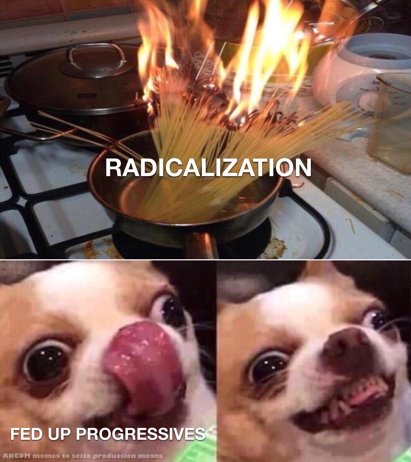 The meme is a humorous comparison between two opposing ideologies. The top image depicts a pot of spaghetti being set on fire, with the text "Radicalization" above it. The bottom image shows a shocked-looking dog with the text "Fed up with progressives" below it. The meme is implying that radicalization is a more extreme and destructive approach to politics, while being "fed up" with progressives is a more moderate and tolerant approach.