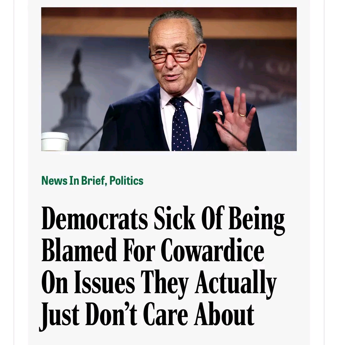 The meme is a satirical image featuring a photo of Chuck Schumer, a Democrat, with the headline "Democrats Sick Of Being Blamed For Cowardice On Issues They Actually Just Don't Care About." The meme is from the catego...