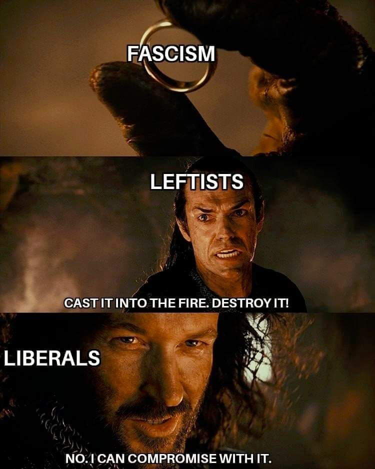 The meme is a play on the famous "One Ring" scene from the Lord of the Rings, where the wizard Gandalf destroys the One Ring to prevent it from falling into the wrong hands. In this meme, the text "Fascism" is replaced with "One Ring", and the text "Leftists" is replaced with "Gandalf". The meme is humorous because it implies that leftists are the ones who would be trying to destroy the "Fascism" (the One Ring) in order to prevent it from causing harm.