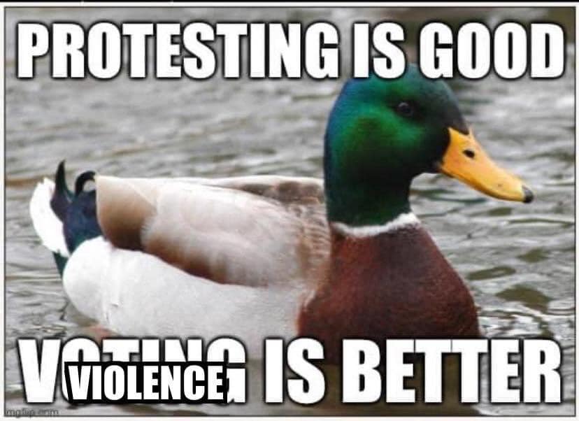 This meme is a play on the classic "I can read" meme, but with a twist. The image features a picture of a duck with a caption that says "Protesting is good. Voting is better." However, the text is intentionally misspelled, with "good" and "better" replaced with "gud" and "bettur", respectively. The meme is poking fun at the idea that people often use poor spelling and grammar in their online posts, and the image is a humorous take on this phenomenon.