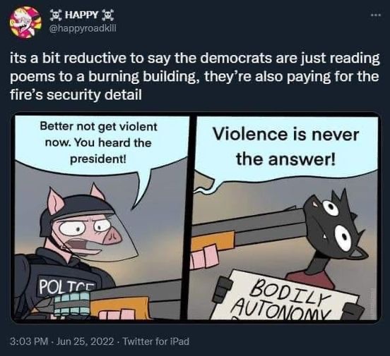 The meme is a play on the traditional "treat the police like dogs" protest sign, but with a twist. It shows a police officer holding a sign that says "Bodily Autonomy" instead of "Treat Police Like Dogs", and a cat holding a sign that says "Violence is never the answer!" but is actually holding a sign that says "Bodily Autonomy" instead. The text above the image reads "It's a bit reductive to say the democrats are just reading poems to a burning building, they're also paying for the fire's security detail".