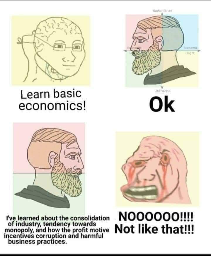 The meme is a humorous critique of the idea that one can learn about economics by simply reading a book or online resources, without actually experiencing the complexities of the real world. The image features a split-screen comparison of a person who thinks they can learn economics by reading, and a person who has actually learned through experience. The text reads "Learn basic economics" on the left, and "I've learned about the consolidation of industry, tendency towards monopoly, and how the profit motive incentivizes corruption and harmful business practices" on the right.