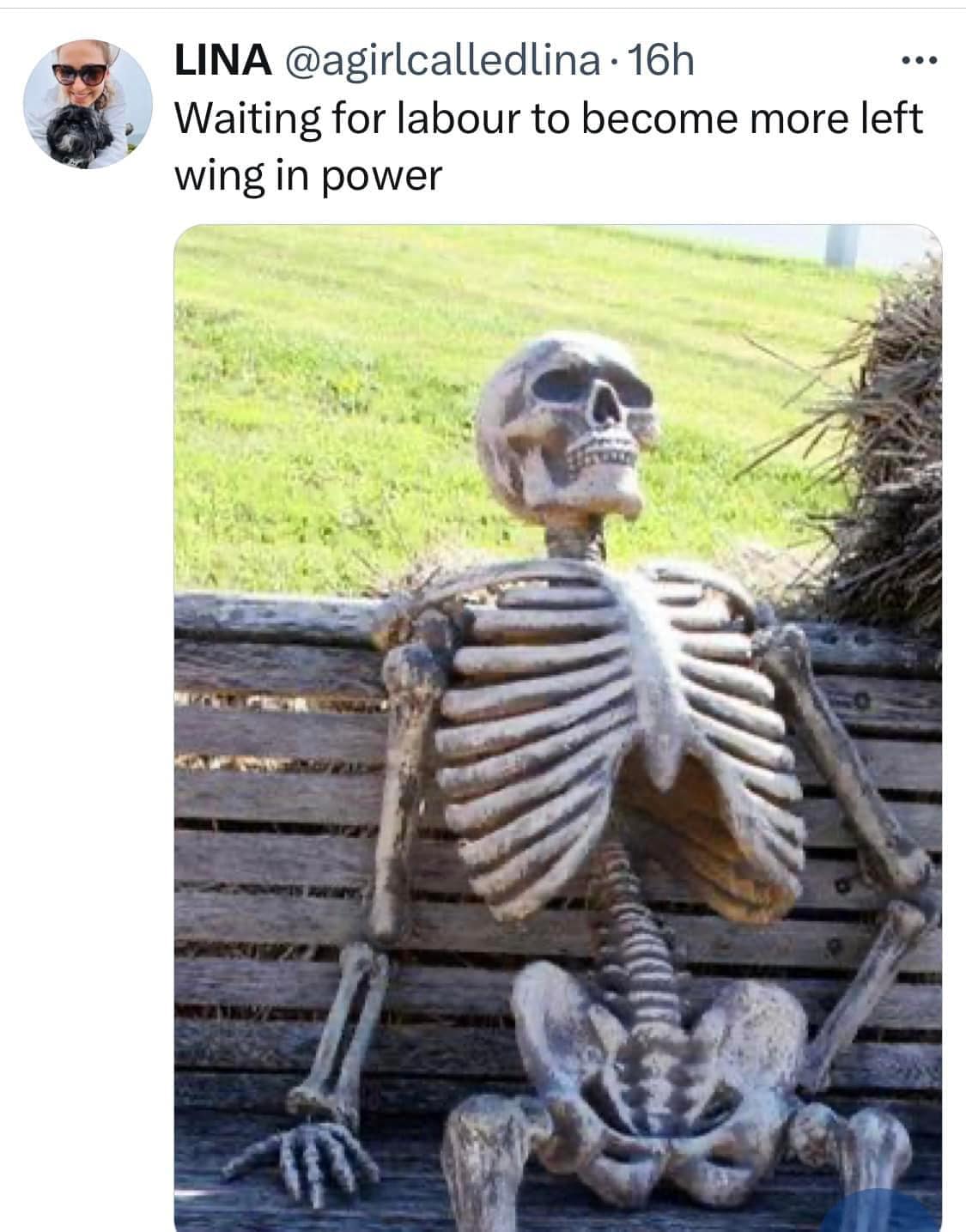 This meme features a photograph of a skeleton sitting on a bench, looking out at the viewer with a vacant expression. The text "Waiting for Labour to become more left wing in power" is written above the image, implying that the skeleton has been waiting for a long time and is now a skeleton due to its prolonged wait. The joke is that the skeleton has been waiting for a left-wing Labour government to become more left-wing, but has died in the process.