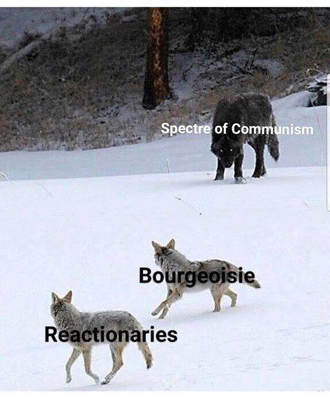 The meme features a photo of three wolves in the snow, with their names written above them. The top wolf is labeled "Spectre of Communism", the middle wolf is labeled "Bourgeoisie", and the bottom wolf is labeled "Reactionaries". The image is meant to be humorous and satirical, implying that these three groups are all just different forms of wolves in the same snow, or "same snow" (a play on words).