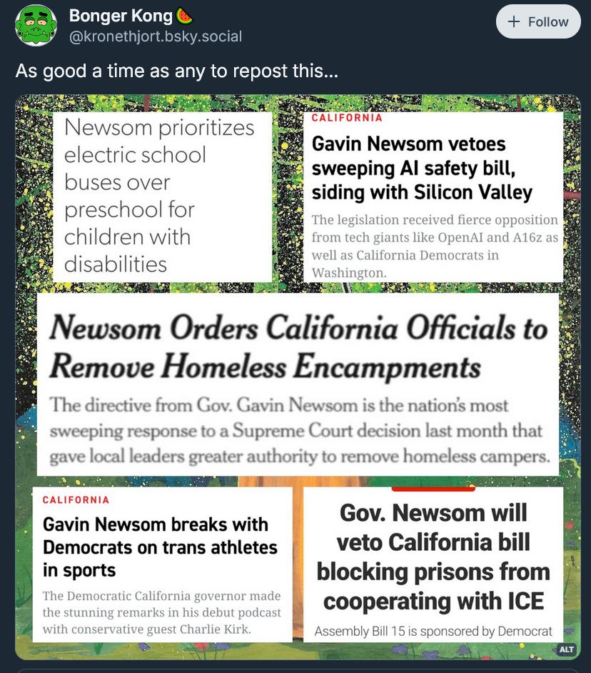 This meme is a collection of news headlines that are all about California Governor Gavin Newsom's actions and policies. The headlines are presented in a news format, but are actually satirical and meant to be humorous. The text in the image includes headlines such as "Newsom prioritizes electric school buses over preschool for children with disabilities" and "Newsom orders California officials to remove homeless encampments." The tone of the headlines is ironic and satirical, implying that Newsom's actions are not actually what they are presented as.
