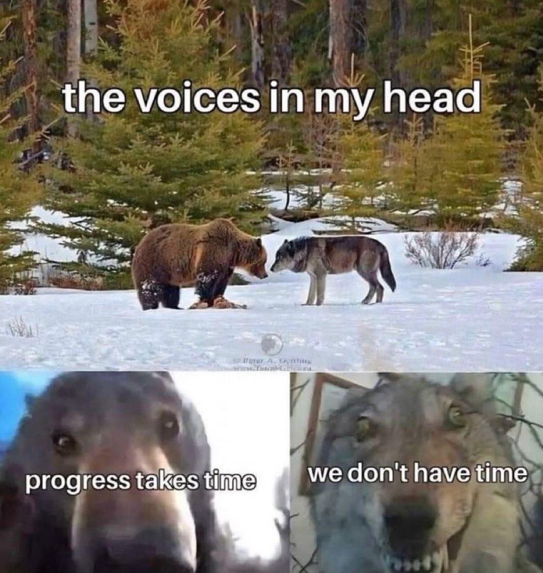 This meme features a series of images showing a bear and a wolf facing each other in the snow, with the caption "the voices in my head" at the top. Below, it shows a bear with the text "progress takes time" and a wolf with the text "we don't have time". The meme is humorous because it implies that the bear is being patient and the wolf is being impatient, and that their internal thoughts are at odds with each other. The meme is likely meant to be humorous and relatable.