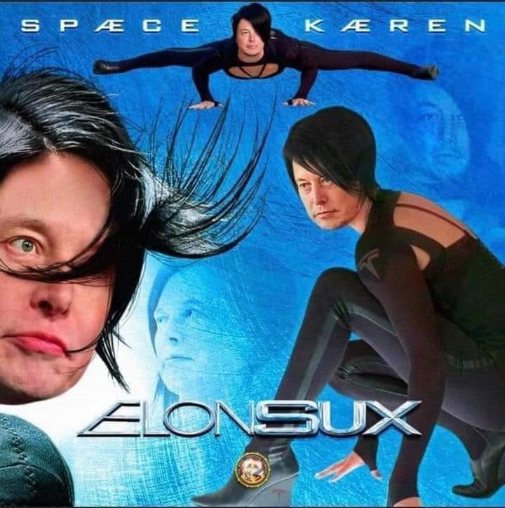 This meme is a parody of the "Space Karen" meme, which is a play on the "Space Karen" meme that has been used to describe a person who is entitled, selfish, and demanding. The image shows a person with a similar haircut and style to the original "Space Karen" meme, but with a few key differences. The text "Space Karen" is written above the image, and the text "Elon Musk" is written below it.
