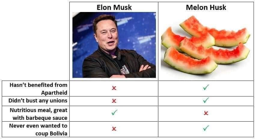This meme is a table comparing two fictional characters, "Elon Musk" and "Melon Husk", with their respective "benefits" or "downsides". The text in the table reads: "Hasn't benefited from Apartheid, Didn't bust any unions, Nutritious meal, great with barbeque sauce, Never even wanted to coup Bolivia". The table is meant to be humorous, implying that "Melon Husk" is a better choice than "Elon Musk".