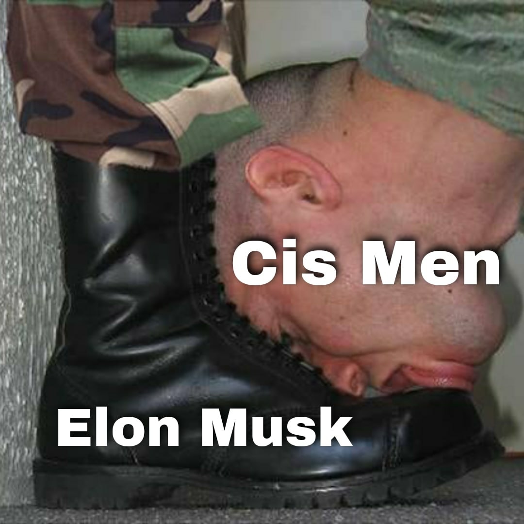 This meme features an image of a person's head being forced into a boot, with the words "Cis Men" and "Elon Musk" superimposed over it. The image is meant to be humorous and satirical, implying that the person is being forced to accept or conform to certain standards or expectations, much like how the image of a person's head being forced into a boot is a metaphor for being forced to accept something.