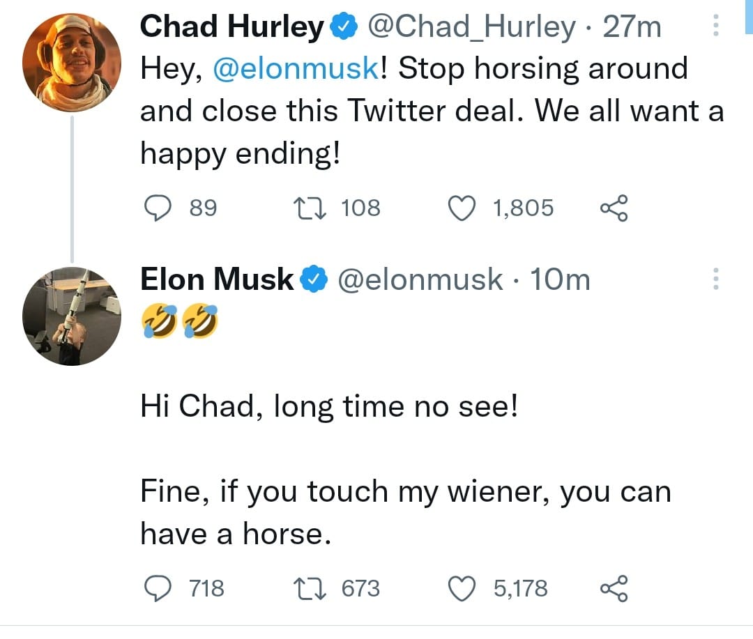 The meme is a Twitter exchange between two users, Chad Hurley and Elon Musk. The exchange starts with Chad Hurley saying "Hey, @elonmusk! Stop horsing around and close this Twitter deal. We all want a happy ending!" to which Elon Musk responds with a joke about his "wiener" and "horse" puns.