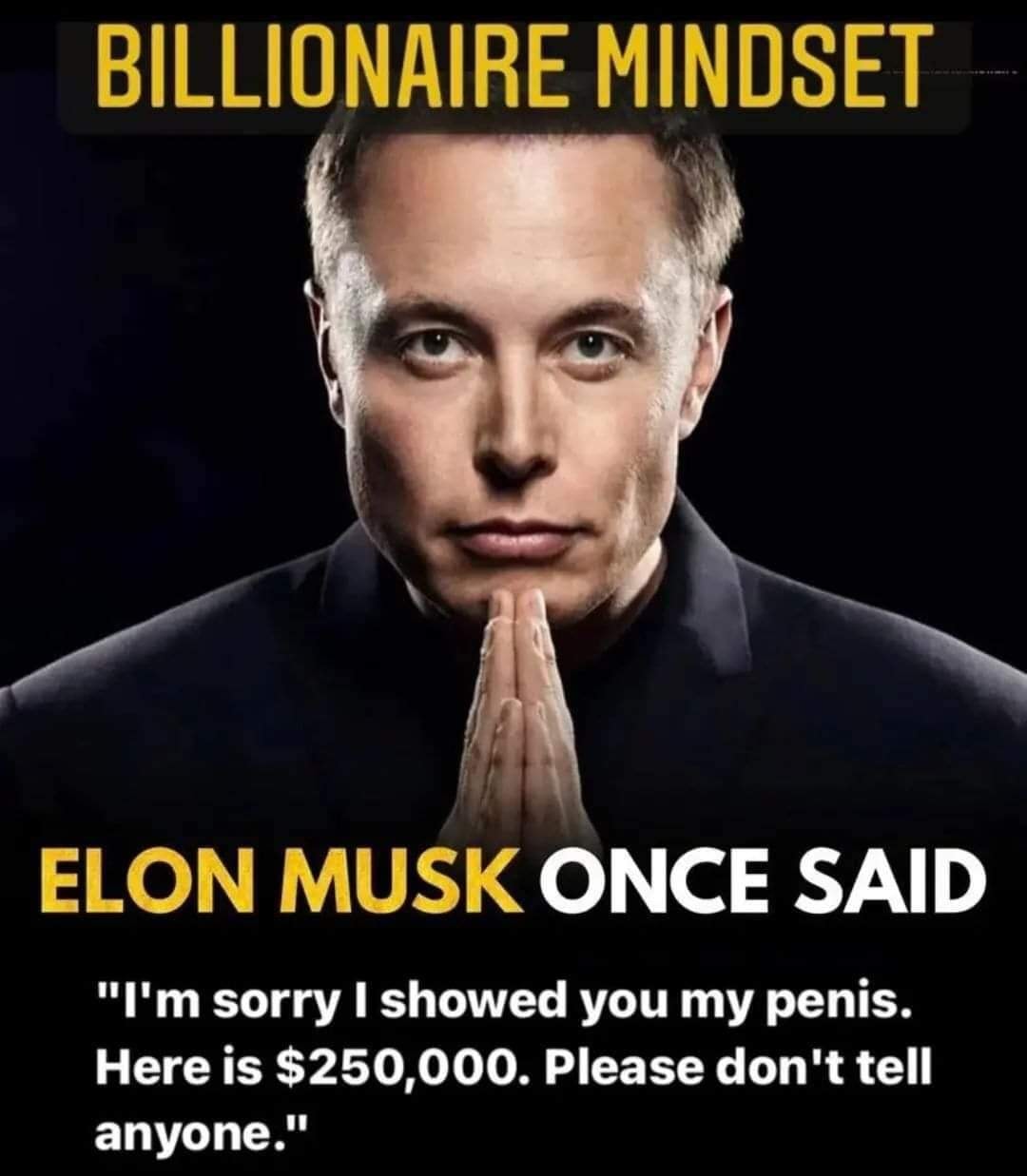 This meme is a satirical image featuring Elon Musk, a wealthy entrepreneur. The image is captioned with a quote from him, but the actual quote is a humorous, edited version of his apology for showing his friend his penis, saying "I'm sorry I showed you my penis. Here is $250,000. Please don't tell anyone."