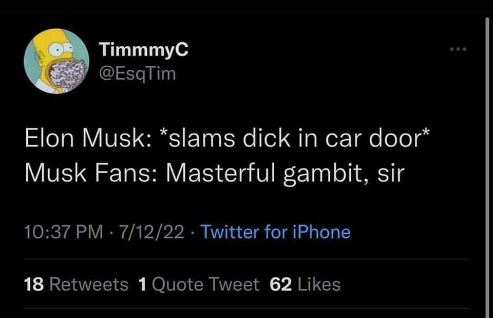 This meme is a humorous take on a popular internet culture phenomenon. The text "Elon Musk: *slams dick in car door*" is a playful and irreverent response to a hypothetical situation, using a well-known phrase in a humorous and unexpected way. The image is likely a joke or meme about a situation that is absurd and not meant to be taken seriously.