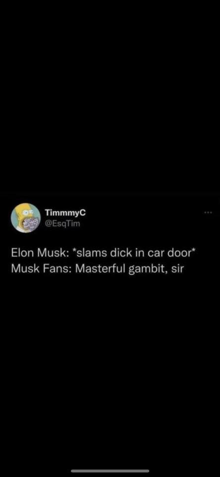 The meme is a Twitter post that appears to be a conversation between two users. The first user, "Elon Musk", is responding to a tweet by saying "slams dick in car door" which is a humorous and unexpected way to respond to a tweet. The second user, "Musk Fans", is responding with a sarcastic comment that is a play on words, saying "Masterful Gambit, Sir" which is a reference to a famous phrase from the movie "The Master of the House" and is used to express approval or admiration.