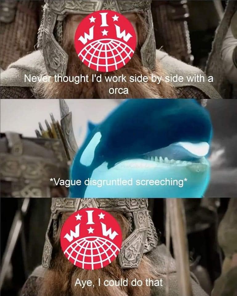 This meme is a humorous comparison between two seemingly unrelated things. The top image shows a character from the Lord of the Rings, specifically a dwarf named Dwarfs of Middle Earth, with a caption that says "Never thought I'd work side by side with a [insert word here]". The word in the brackets is a reference to the orca, a type of whale. The bottom image is a photo of an orca, and the caption says "Aye, I could do that". The meme is poking fun at the idea that someone would be able to work with an orca, a large and powerful animal, and the humor comes from the unexpectedness of it.