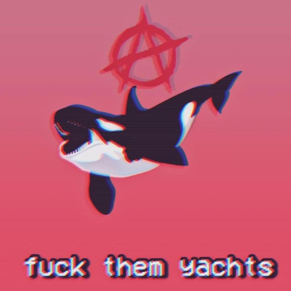 This meme features a cartoon orca whale, a symbol of the animal rights activist group Sea Shepherd, with a punk rock-inspired design. The text "fuck them yachts" is written in a bold, graffiti-style font at the bottom of the image, implying a rebellious and anti-establishment attitude.