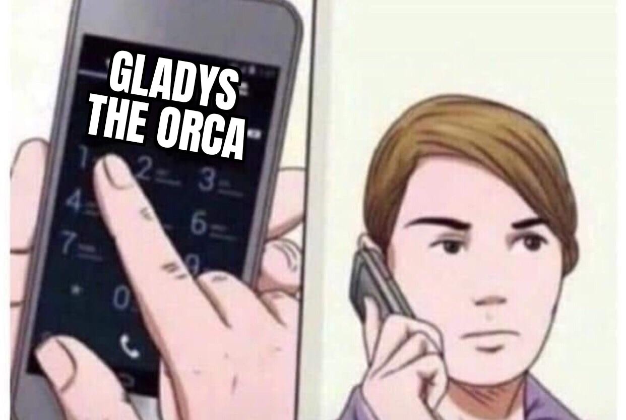 This meme is a play on the popular "I'm not arguing, I'm just explaining why I'm right" meme. The image shows a person holding a phone and looking at it with a smug expression. The text on the screen reads "GLADYS THE ORCA", which is a humorous and absurd statement that is likely meant to be humorous. The meme is likely poking fun at someone who is being overly argumentative or trying to prove a point.