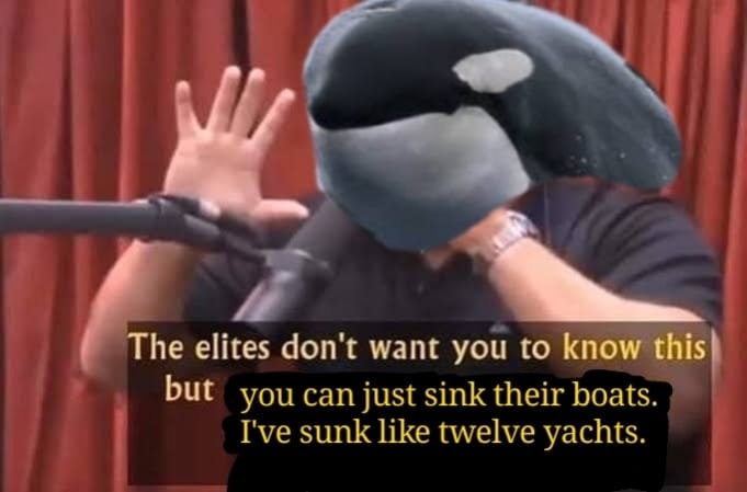 This meme is an image of a person with their face covered, with a caption that says "The elites don't want you to know, but you can just sink their boats. I've sunk like twelve yachts." The image is likely a still from a video or TV show, and the text is a quote from a character or person in the show.