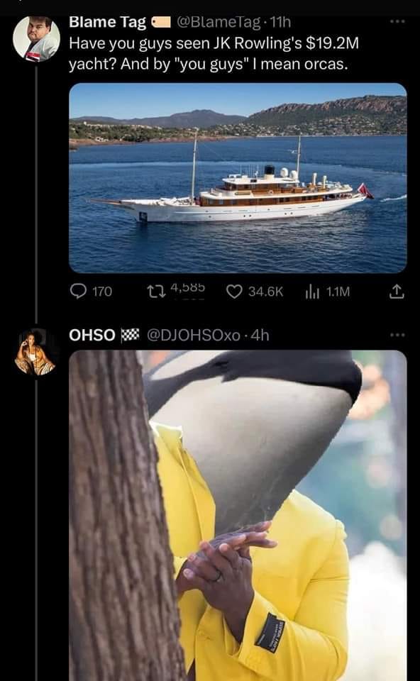 This meme is a play on a popular "I can see your face" meme, where the character from the movie "Shrek" is hiding behind a tree. The meme is responding to a tweet about the new James Bond film, "No Time to Die", with the character's signature "I see your face" line, but with a humorous twist by adding "I see your face" to a picture of a boat. The text in the image reads "I see your face" and is followed by a picture of a boat.