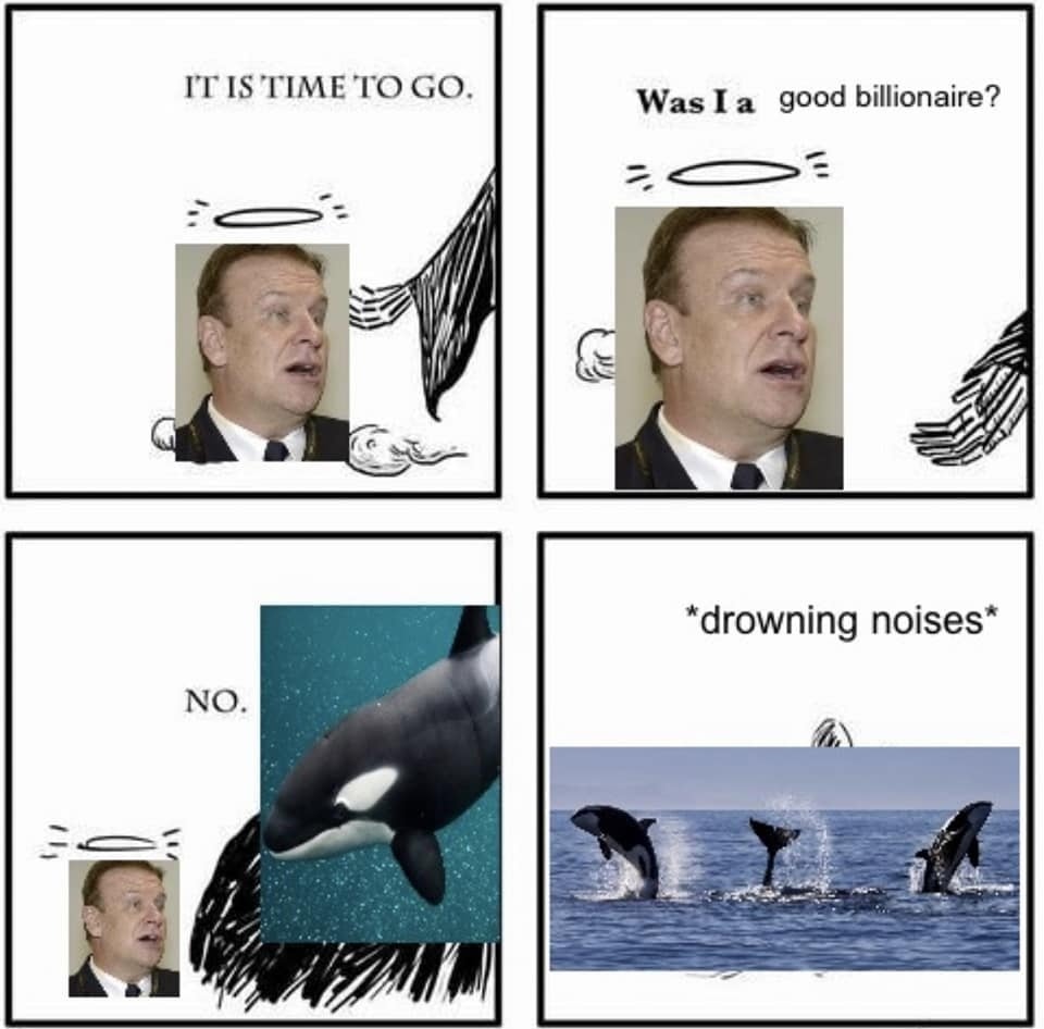 This meme is a humorous exchange between two individuals, with the first person asking if they are a good billionaire and the second person responding with a "no" followed by a picture of an orca (also known as a killer whale) and the words "drowning noises". The joke is that the second person is implying that the first person is so wealthy that they would have to be a good billionaire to have made it through the "drowning" of a killer whale's sound.