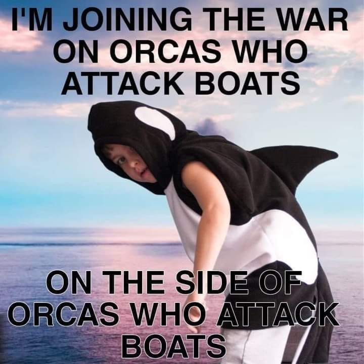 This meme features a person dressed in an orca costume, with the text "I'm joining the war on orcas who attack boats" and "On the side of orcas who attack boats". The meme is a play on words, using a common phrase "on the side of" and replacing it with a phrase that is a play on words, referencing the orca's attack on boats. The meme is likely humorous and ironic, using a serious phrase in a lighthearted way.