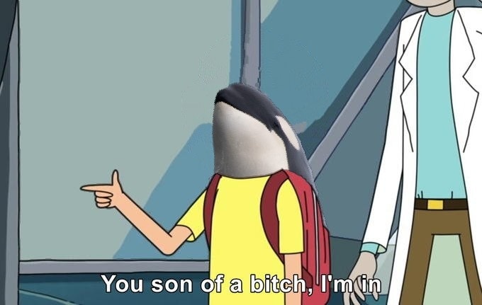 This meme is an image of a character from the animated TV show "Rick and Morty" who has a bird's head. The character is pointing at someone and saying "You son of a...". The image is captioned with the phrase "You son of a bitch, I'm in". The meme is likely referencing a specific episode or scene from the show, but it's not clear what that is.