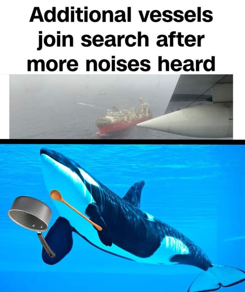 The meme is a play on the concept of "sonar" (sound navigation and ranging) and the idea of a ship's sonar system being overwhelmed by more noise. The image shows an orca (or "killer whale") wearing a sonar device, with a ship's sonar system in the background. The text "Additional vessels join search after more noises heard" is a play on words, implying that the orca's sonar is being overwhelmed by the noise of other vessels.