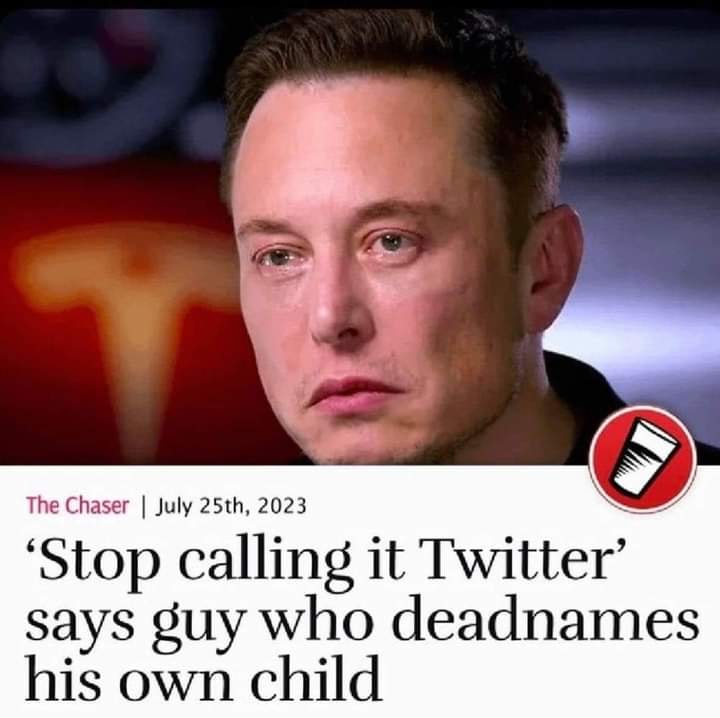 This meme is a screenshot of a news article with a headline that reads, "Stop calling it Twitter, says Elon Musk." The image features a photo of Elon Musk with a serious expression. The article is from "The Chaser" and is dated July 25th, 2023.