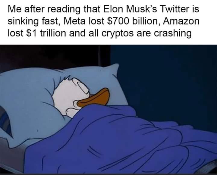 This meme is a humorous take on the financial struggles of Elon Musk's Twitter. It features a cartoon character, from the 1990s cartoon "DuckTales," named Scrooge McDuck, who is depicted as sleeping peacefully under a blanket. The text above the image reads: "Me after reading that Elon Musk's Twitter is sinking fast, Meta lost $700 billion, Amazon lost $1 trillion, and all cryptos are crashing." The meme is meant to be humorous and relatable, poking fun at the financial struggles of the tech industry and the cryptocurrency market.