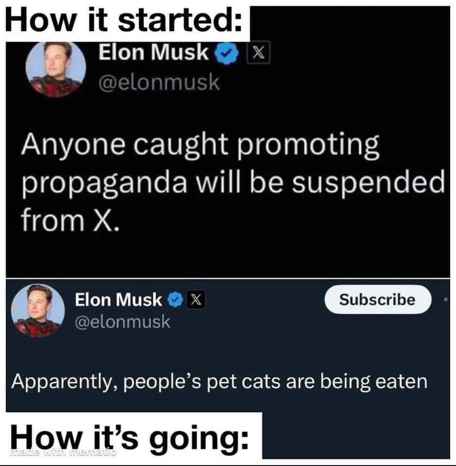 This meme is a humorous comparison of how the internet has changed over time. The top part of the meme shows a tweet from Elon Musk that says "Anyone caught promoting propaganda will be suspended from X." The bottom part of the meme shows a response from Elon Musk that says "Apparently, people's pet cats are being eaten." The meme is meant to be humorous and ironic, implying that the situation has changed significantly since the early days of the internet.
