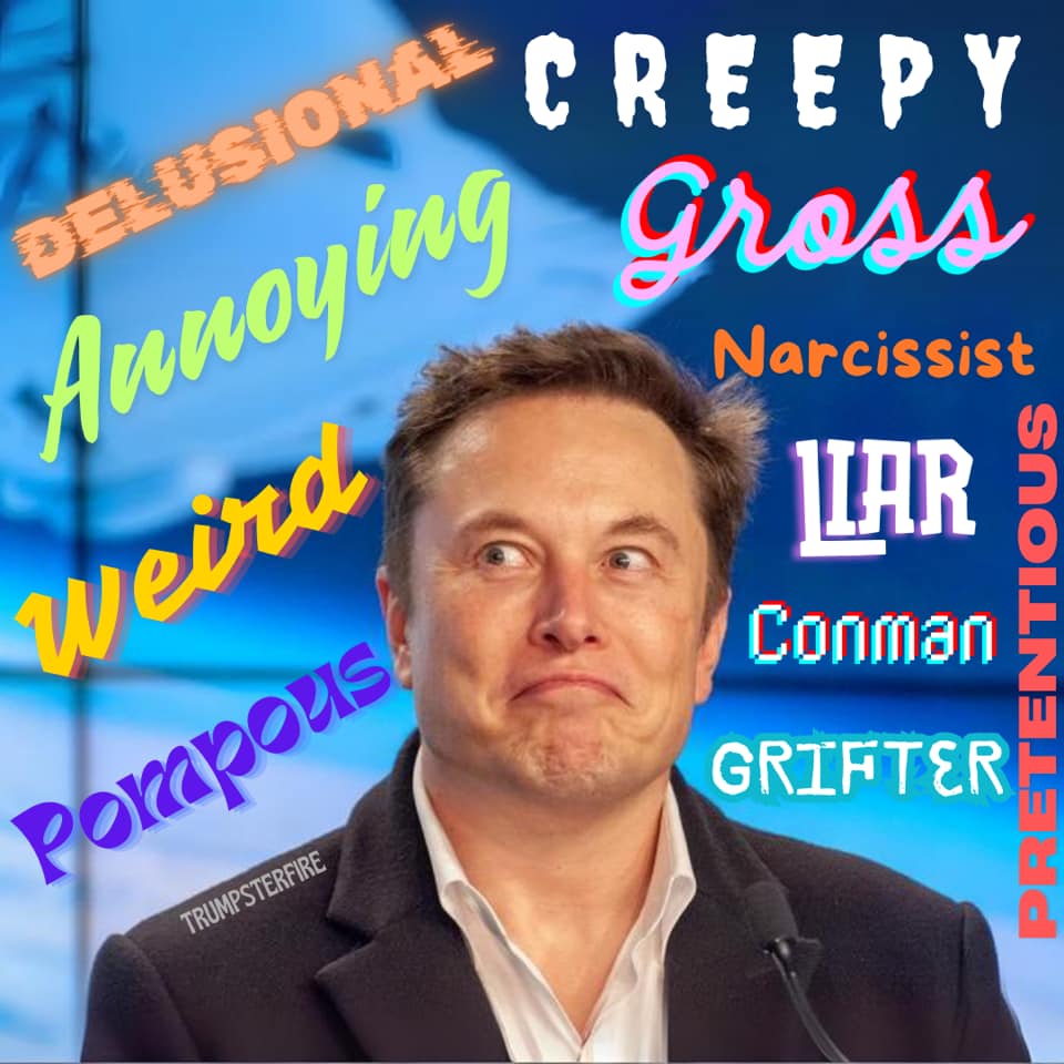 The meme is a photo of Elon Musk with a mix of words and phrases written in a playful, handwritten font above and around his head. The words include "Annoying", "Creepy", "Gross", "Narcissist", "Liar", "Conman", "Grifter", and "Sociopath", among others. The image is meant to be humorous and satirical, poking fun at Musk's public image and reputation.