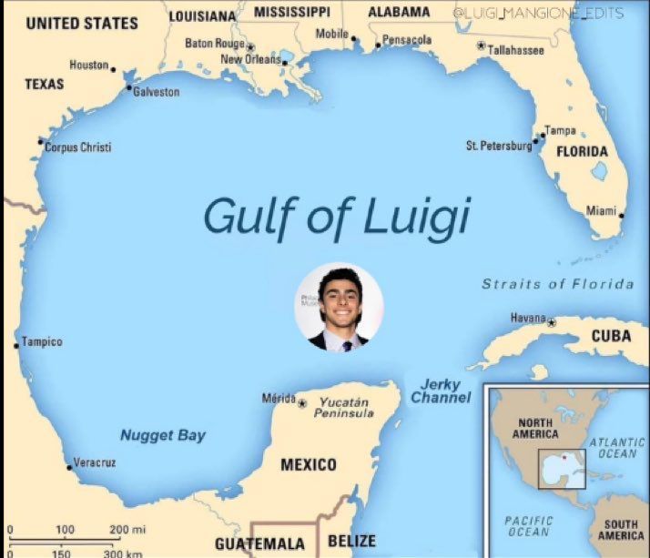 The meme is an image of the Gulf of Mexico with the words "Gulf of Luigi" written over it. The image is a play on words, replacing the name of the Gulf of Mexico with "Luigi", a character from the popular video game series. The joke is likely meant to be humorous and lighthearted, poking fun at the idea of a famous person's name being associated with a geographic location.