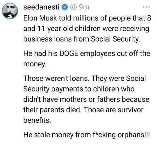 The meme is a screenshot of a tweet from a user named "seedanesti" (likely a parody of "Seth" or "Dan" with a "n" added). The text claims that Elon Musk said that 8-11 year old children were receiving loans from the government, but actually, they were actually receiving benefits from their parents who had passed away. The tweet then jokes that Elon Musk "stole money" from these orphaned children, implying that he was "stealing" from people who were already in financial need.