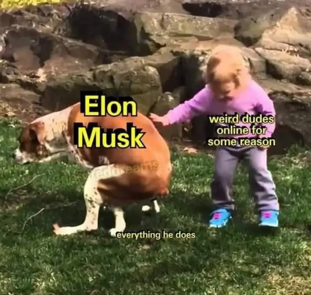 This meme is a humorous take on the public's perception of Elon Musk, the CEO of Tesla and other companies. The image shows a child trying to take a selfie with a dog, but the dog is not cooperating. The text "Elon Musk" is written on the child's shirt, while the dog's name is "everything he does". The meme is a play on the idea that Elon Musk is always in the news for something, and this image is a humorous way of saying that he is always in the news for something.
