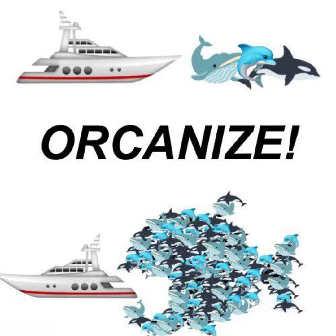 This meme is a visual representation of the phrase "Orcanize" (a play on "organize") with a twist on the word "or" and "can" to "or" and "can" to "orcanize" and then "or" and "can" to "orcanize". The meme features a boat with a whale and a dolphin, with the word "ORCANIZE" in bold text.