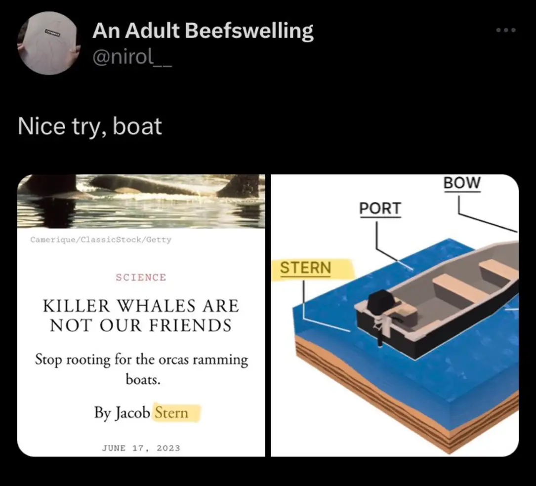 This meme is a play on the classic "nice try" phrase, but with a twist. The image shows a screenshot of a news article with the title "Killer Whales Are Not Our Friends" and a quote from the article that says "Stop rooting for the orcas ramming boats." The image is then followed by a diagram of a boat with a label pointing to the "Stern" (which is a nautical term for the back of the boat). The joke is that the article is trying to be serious and educational, but the "Stern" label is a pun that makes the reader laugh.
