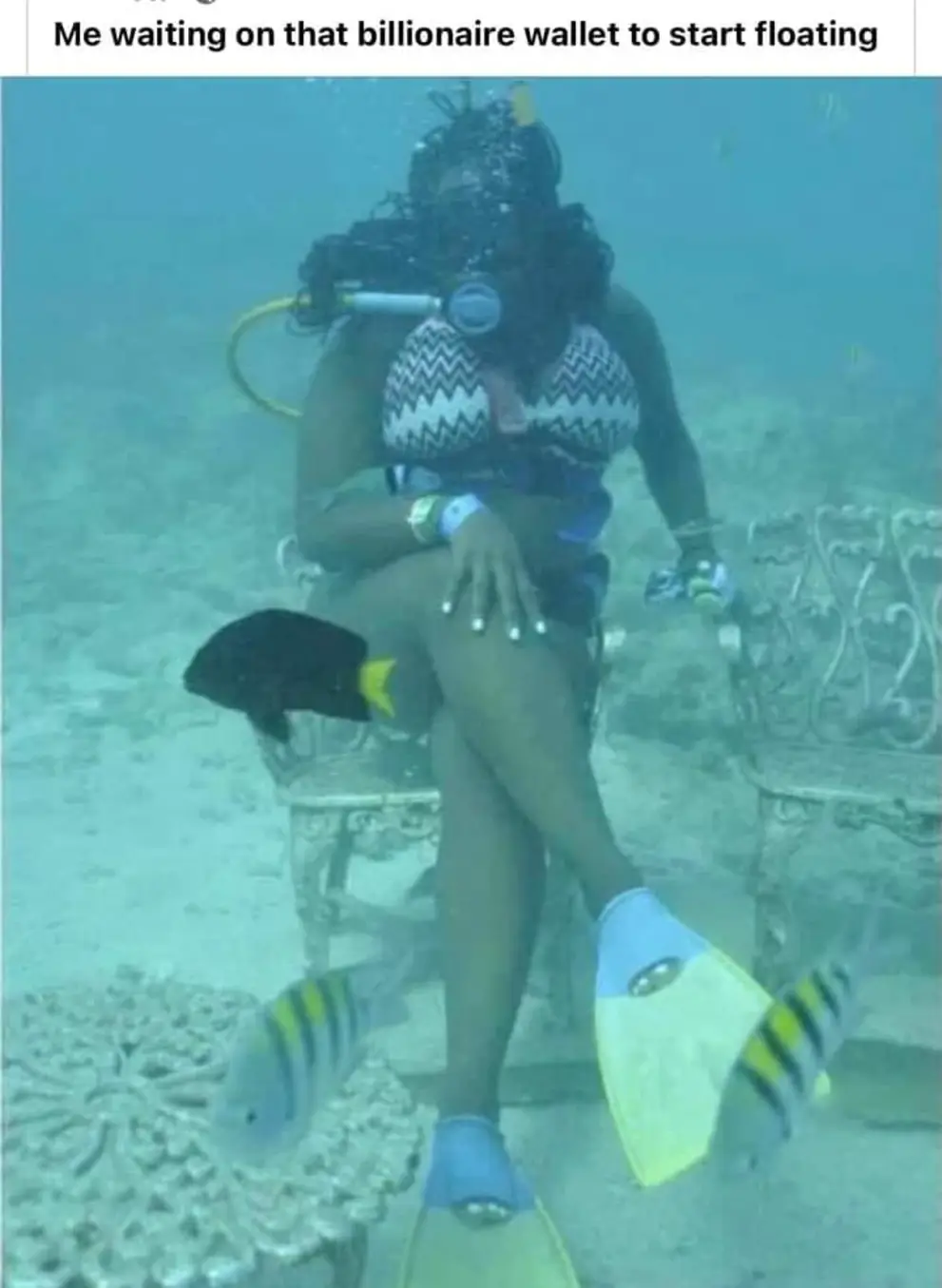 This meme is a humorous representation of the frustration and anxiety that can come with waiting for a wealthy individual to start making their wealth "float" (i.e., become liquid and easily accessible). The image shows a woman in scuba gear, surrounded by fish, sitting on a throne-like chair underwater, with the caption "Me waiting on that billionaire wallet to start floating". The meme is meant to poke fun at the idea of waiting for a wealthy person's money to become available, and the absurdity of the situation.
