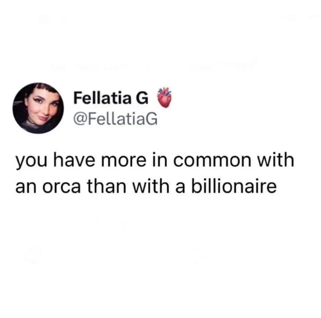 This meme is a humorous comparison between two seemingly disparate entities. The text "you have more in common with an orca than with a billionaire" is a tongue-in-cheek commentary on the idea that, despite their vastly different lifestyles, an orca (a large marine mammal) and a person may have more similarities in certain aspects of their lives, whereas a person and a billionaire (a wealthy individual) are likely to have vastly different experiences and lifestyles.